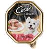Cesar Tarrina di Cibo Umido per Cani in patè, Sapore di Manzo e Pollo (Confezione da 14 x 150g)