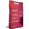 LINDOCAT Advanced Clumping Plus Lettiera Micro Agglomerante Bianca per Gatto da 10 Litri bentonite
