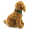 Ranphy, sciarpa per cani e gatti, regolabile, per tutte le stagioni, a forma di triangolo, colore verde (solo per animali domestici di piccola razza)