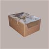 SCOTTON 5 Pz Scatola Prestige Carta Marrone Natura Colomba Pasqua 1000g