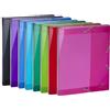 Exacompta Confezione Dorso 25 mm. 8 colori assortiti