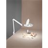 Perenz Illumina Lampada da tavolo in plastica colore bianco con lente di ingrandimento a LED 12W 3000K 1050Lm dimmerabile Close