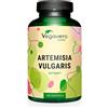 Vegavero ARTEMISIA VULGARIS Vegavero® | 600 mg | con 2% di Flavonoidi | 180 capsule | Senza additivi | Vegan