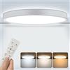Brisplen LED Plafoniera Dimmerabile con Telecomando 24W 2400Lm 3000K-6000K Rotondo 30cm IP44 Impermeabile Moderna Lampada da Soffitto Timer per Soggiorno Camera da Letto Cucina Camera dei Bambini