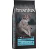 Briantos Adult Salmone & Patate - senza cereali Crocchette per cane - 12 kg