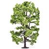 Hornby Acacia