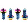 ShenZhenShiShiLiLanTianKeJiYouXianGongSi CNC Viti Portaborraccia per Bici，M5*12mm MTB Viti Portaborraccia，Verde