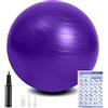 flintronic 55+25cm Palla Fitness, 2 Pezzi Anti-Scoppio e Stabilità, Yoga Pilates Palla con Pompa, Strumento Tappo Pompa, E Manuale per Ginnastica, Yoga, Esercizi di Equilibrio, Allenamento, Fitness