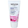 Weleda CREMA NOTTE LEVIGANTE ROSA 30 ML