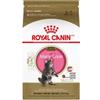 Royal Canin Maine Coon Kitten Cats Dry Food 2 kg