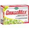 Esi - Ginkgomax 30 Ovalette