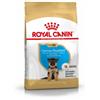 Royal Canin Breed Royal Canin Puppy Pastore Tedesco cibo per cane 12 kg