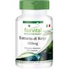 fairvital Compresse di alghe brune, 250 compresse, facili da deglutire, 150 mcg di iodio naturale da estratto di alghe brune, ALTO DOSAGGIO, vegane