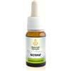 Amicafarmacia Maharishi Ayurveda Nasyamap Olio eutrofico ed emolliente 10ml