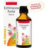 Naturwaren Dr. Theiss Echinacea Forte gocce Raffreddore e influenza Boccetta da 50ml