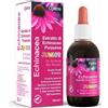 Optima Echinacea Estratto Junior 50ml