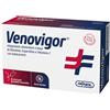 Amnol Venovigor antiossidante 20 buste