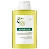 Klorane Shampoo Al Cedro Purificante Capelli da Normali a Grassi 400ml