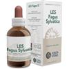 Forza Vitale Les Fagus Sylvatica Integratore drenante e depurativo in gocce 50 ml