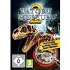 dtp entertainment AG Tatort Museum II [Edizione : Germania]