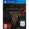 Bethesda The Elder Scrolls Online : Morrowind - PlayStation 4 [Edizione: Francia]