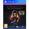 Techland Torment: Tides of Numenera - PlayStation 4 [Edizione: Francia]