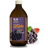 Salugea Succo Aronia 500 Ml