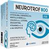 INTERFARMAC Srl NEUROTROF 800 16 Bustine