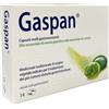 Dr.Willmar Schwabe Gmbh&Co.Kg Gaspan 14Cps Molli Gastrores