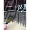 BASHI Rete di protezione per gatti per balconi e finestre, recinzione in rete di sicurezza per animali domestici, resistente rete di sicurezza con corda di fissaggio, rete bianca ad alta visibilità