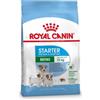 Royal Canin Mini Starter Mother and Babydog per cane 8 kg