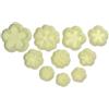 PME JEM - Tagliapasta per Cake Design - Primula, Confezione da 10