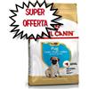 ROYAL CANIN CANE PUG CARLINO PUPPY 500 G