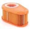Briggs & Stratton Briggs and Stratton Filtro dell'Aria Originale 792038, Orange