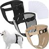 Xuniea 3 Pannolini per Cani Femmine 9 Assorbenti Igienici, XXL | Pantaloni Mutande Sanitari, Mutandine Protettivi, Regolabili Lavabili, Per Cani Femmine in Calore, Mensile Fisiologico Ciclo