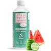 Salt of the Earth, Ricarica per Deodorante Spray Naturale, Melone e Cetriolo - Vegana, Protezione a Lunga Durata, Approvata da Leaping Bunny, Made in the UK - 500ml