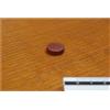 Token rotondo 15x4mm marrone
