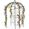 SCENDOR GARDEN Pergolati da giardino, Arco per Rose Rampicanti, Decorazione Giardino, per Rose e Rampicanti, Pergolato Balcone, Terrazzo 271x207x207 cm Nero