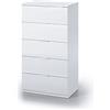 Dmora - Cassettiera Mesquite, Settimanale a 5 cassetti, Mobile Comò per camera da letto, Settimanale moderno, 60x40h110 cm, Bianco