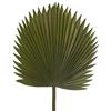 DRW Set di 6 Foglie di Palma Artificiale in Poliestere Verde 117 cm, 117cm