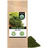 Alpi Nature Aneto Spezia 500g, Aneto Essiccato e Strofinato per Sottaceti, Salse e Marinate