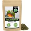 Alpi Nature Tisana Ortica 250g, Foglie di Ortica Essiccate e Tagliate per Tè, Urtica dioica
