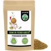 Alpi Nature Fieno Greco Semi 1kg, Semi di Fieno Greco Interi di Methi per Cucina