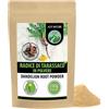 Alpi Nature Radice di Tarassaco in Polvere 250g, Radice di Tarassaco Essiccata e Macinata