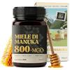 NaturalePiù Miele di Manuka 800+ MGO 500g. Dalla Nuova Zelanda. Certificato in Laboratorio. Miele Balsamico Puro. Mono Floreale, Ideale per la Cura delle Ferite. Tè, Cereali e Prodotti da Forno.
