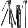Cayer AF2451 Treppiede video, videocamera in lega di alluminio da 74 pollici per Canon Nikon Sony Olympus Panasonic DSLR Digital SLR Camera