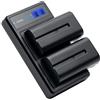CS COOLSHOW COOLSHOW NP F550 - Batteria di ricambio (2 pezzi), 2900mAh, con LED intelligente, USB F550, caricatore per Sony NP F970,F750,F770,F960,F550,F530,F330,F570,CCD-SC55,TR516 716 TR818 TR910 TR917