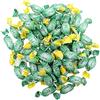 Pastiglie Leone Leonsnella - Caramelle Senza Zucchero al MENTA - Confezione da 500 gr - Senza Coloranti e Senza Glutine - Dolcificate con isomalt, malititolo - Pastiglie Leone