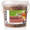 UGF Underground Food UGF - Gamberetti essiccati d'acqua dolce Premium Gammarus, secchio da 500 millilitri ≈ 50g, cibo per acquari per tartarughe, pesci, axolotl, criceti, ricci, koi, ratti