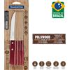 Tramontina polywood, set 4 coltelli barbecue con lame in acciaio inox e  manici in legno trattato